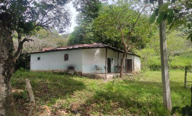 Se vende hermosa Finca de 55 hectáreas Municipio de Tesalia-Departamento del huila,vereda el centro a 5 km del casco urbano