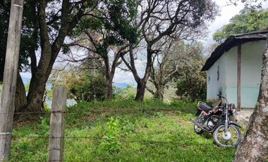 Se vende hermosa Finca de 55 hectáreas Municipio de Tesalia-Departamento del huila,vereda el centro a 5 km del casco urbano