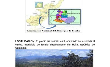 Se vende hermosa Finca de 55 hectáreas Municipio de Tesalia-Departamento del huila,vereda el centro a 5 km del casco urbano