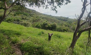 Se vende hermosa Finca de 55 hectáreas Municipio de Tesalia-Departamento del huila,vereda el centro a 5 km del casco urbano