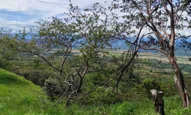 Se vende hermosa Finca de 55 hectáreas Municipio de Tesalia-Departamento del huila,vereda el centro a 5 km del casco urbano