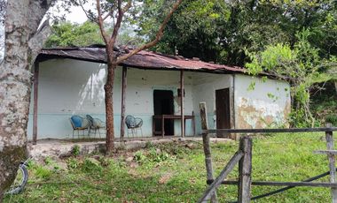 Se vende hermosa Finca de 55 hectáreas Municipio de Tesalia-Departamento del huila,vereda el centro a 5 km del casco urbano
