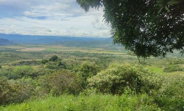 Se vende hermosa Finca de 55 hectáreas Municipio de Tesalia-Departamento del huila,vereda el centro a 5 km del casco urbano