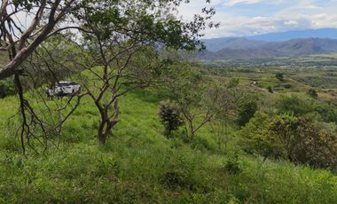 Se vende hermosa Finca de 55 hectáreas Municipio de Tesalia-Departamento del huila,vereda el centro a 5 km del casco urbano