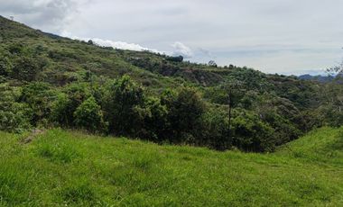 Se vende hermosa Finca de 55 hectáreas Municipio de Tesalia-Departamento del huila,vereda el centro a 5 km del casco urbano