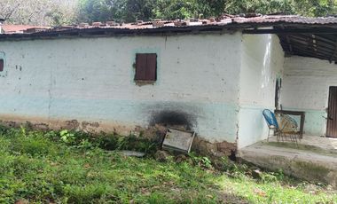 Se vende hermosa Finca de 55 hectáreas Municipio de Tesalia-Departamento del huila,vereda el centro a 5 km del casco urbano