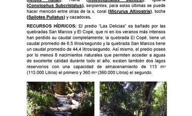 Se vende hermosa Finca de 55 hectáreas Municipio de Tesalia-Departamento del huila,vereda el centro a 5 km del casco urbano