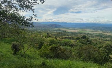 Se vende hermosa Finca de 55 hectáreas Municipio de Tesalia-Departamento del huila,vereda el centro a 5 km del casco urbano