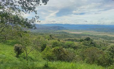 Se vende hermosa Finca de 55 hectáreas Municipio de Tesalia-Departamento del huila,vereda el centro a 5 km del casco urbano