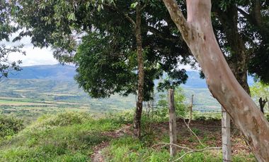 Se vende hermosa Finca de 55 hectáreas Municipio de Tesalia-Departamento del huila,vereda el centro a 5 km del casco urbano