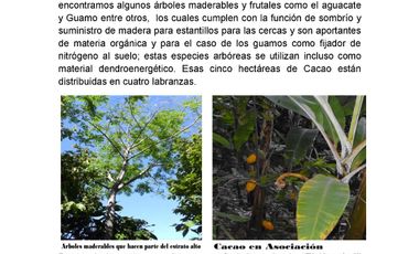 Se vende hermosa Finca de 55 hectáreas Municipio de Tesalia-Departamento del huila,vereda el centro a 5 km del casco urbano