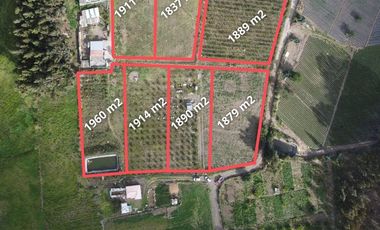 LOTES DE VENTA CANTON CEVALLOS 1900M TUNGURAHUA