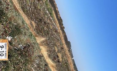 Parcelas con luz (pozo) y agua, a 2 horas de Santiago.