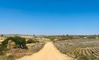 Parcelas con luz (pozo) y agua, a 2 horas de Santiago.