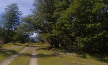 VENDO 3 PREDIOS DE 109 HECT. CADA UNO. RIO COLONIA, COMUNA DE COCHRANE, REGION DE AYSEN