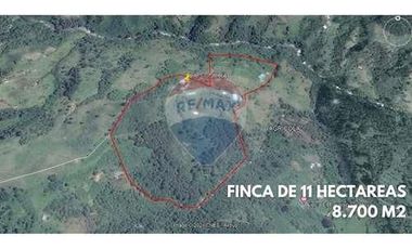 Vendo Finca de 11 Hectareas en Pensilvania