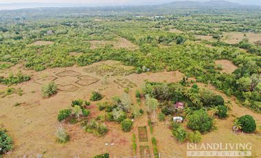 8 Hectares Lot for Sale in Panglao Island, Bohol