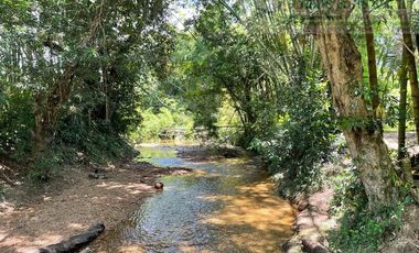 EN EL CARMEN DE ÁPICALA TOLIMA permitamos hermosa casa campestre.