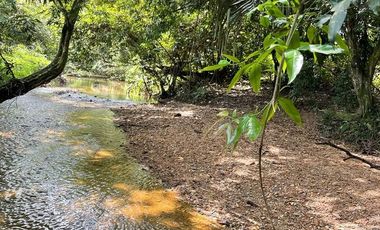 EN EL CARMEN DE ÁPICALA TOLIMA permitamos hermosa casa campestre.