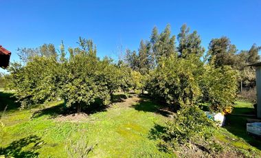 Las Palmeras De Lonquén, Parcela 95