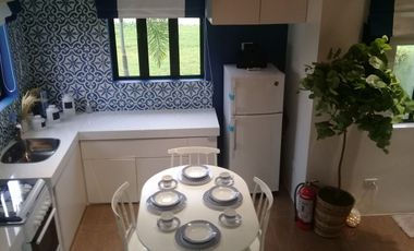 The 3-Bedroom House for Sale in Antel Grand via Cavitex