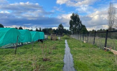 Vendo Parcela 5000 M2 Con Casa En La Unión