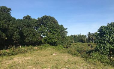LOT FOR SALE IN BACONG ID 14731