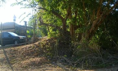 Zihuatanejo La Ropa Terreno Venta 3552.63 m2  a 100 m de Playa T523