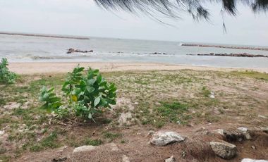 Land for sale on Chao Samran beach, good location, cheap price.