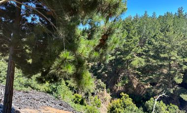 Espectacular terreno de casi 3ha con vista al mar en Pichilemu