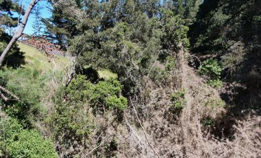 Espectacular terreno de casi 3ha con vista al mar en Pichilemu