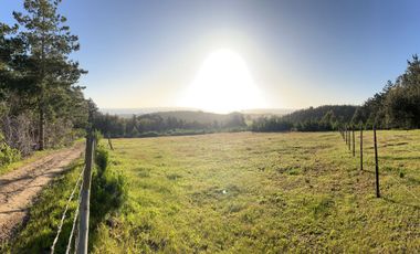 Espectacular terreno de casi 3ha con vista al mar en Pichilemu