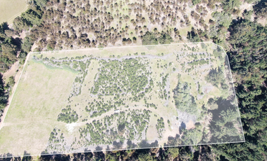 Espectacular terreno de casi 3ha con vista al mar en Pichilemu