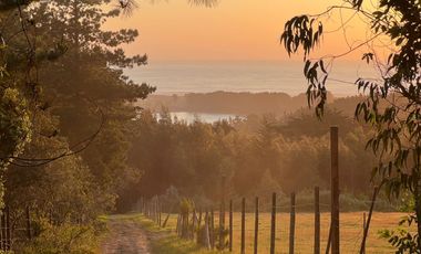 Espectacular terreno de casi 3ha con vista al mar en Pichilemu
