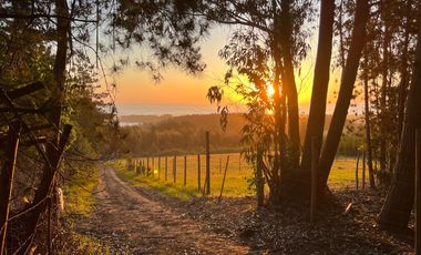 Espectacular terreno de casi 3ha con vista al mar en Pichilemu