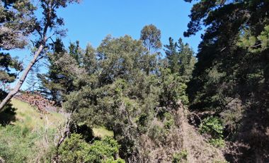 Espectacular terreno de casi 3ha con vista al mar en Pichilemu