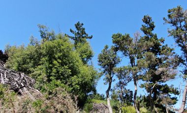 Espectacular terreno de casi 3ha con vista al mar en Pichilemu