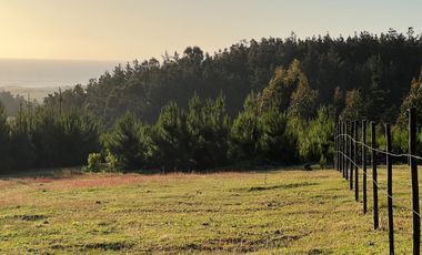 Espectacular terreno de casi 3ha con vista al mar en Pichilemu