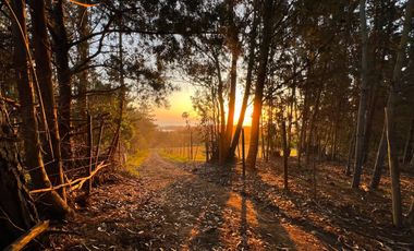 Espectacular terreno de casi 3ha con vista al mar en Pichilemu