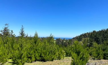 Espectacular terreno de casi 3ha con vista al mar en Pichilemu
