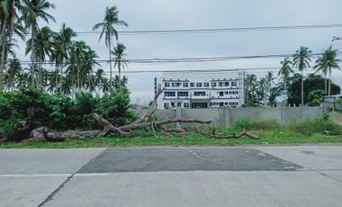 Commercial Lot along the Marinduque Circumferential Road, Boac, Marinduque