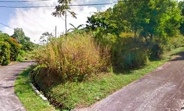 VACANT LOT FOR SALE IN MANDALA EAST