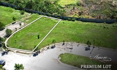 391 SQM Prime Lot for sale in Amore at Portofino Daang Reyna