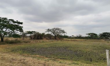 Terreno de venta en El Buijo, Samborondón, 1131 m2.