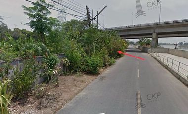 Empty land for sale along the Chao Phraya River. Mueang Ang Thong Nam District does not have many cement walls.