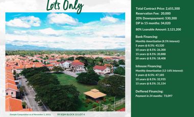 Lot only for sale in bulacan 99sqm