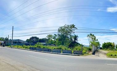 1,836 sqm Lot for Sale at San Juan, Batangas