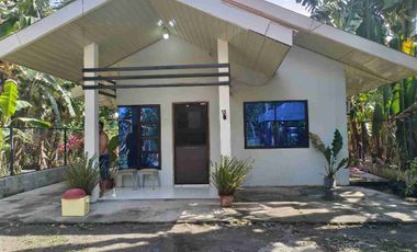 FULLY FURNISHED HOUSE FOR RENT. SHORT AND LONG TERM