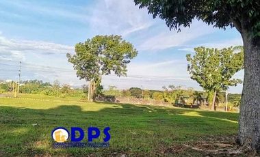 274sqm Residential Lot for Sale Ciudad Verde Riverfront Maa Davao City