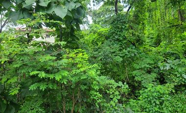 Terreno esquinero de venta en la Urbanización Lago de Capeira, 720 m2.